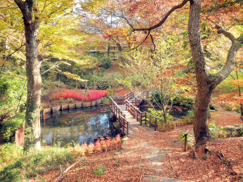 Hakone Highland Hotel Exteriér fotografie